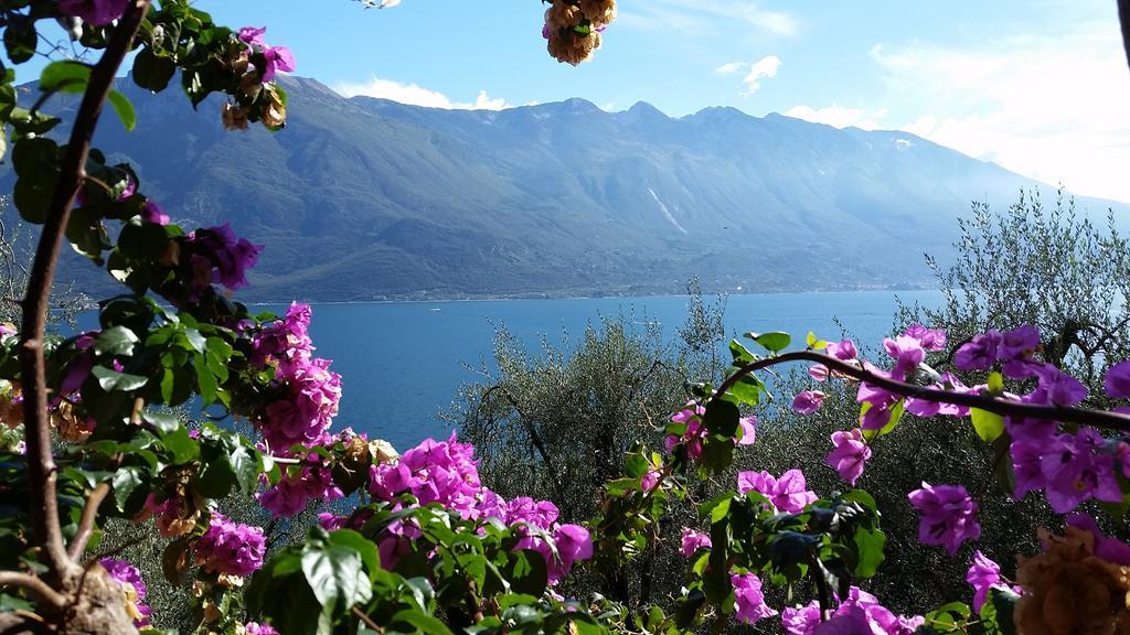 Hotel Augusta Garni Limone sul Garda Exteriér fotografie