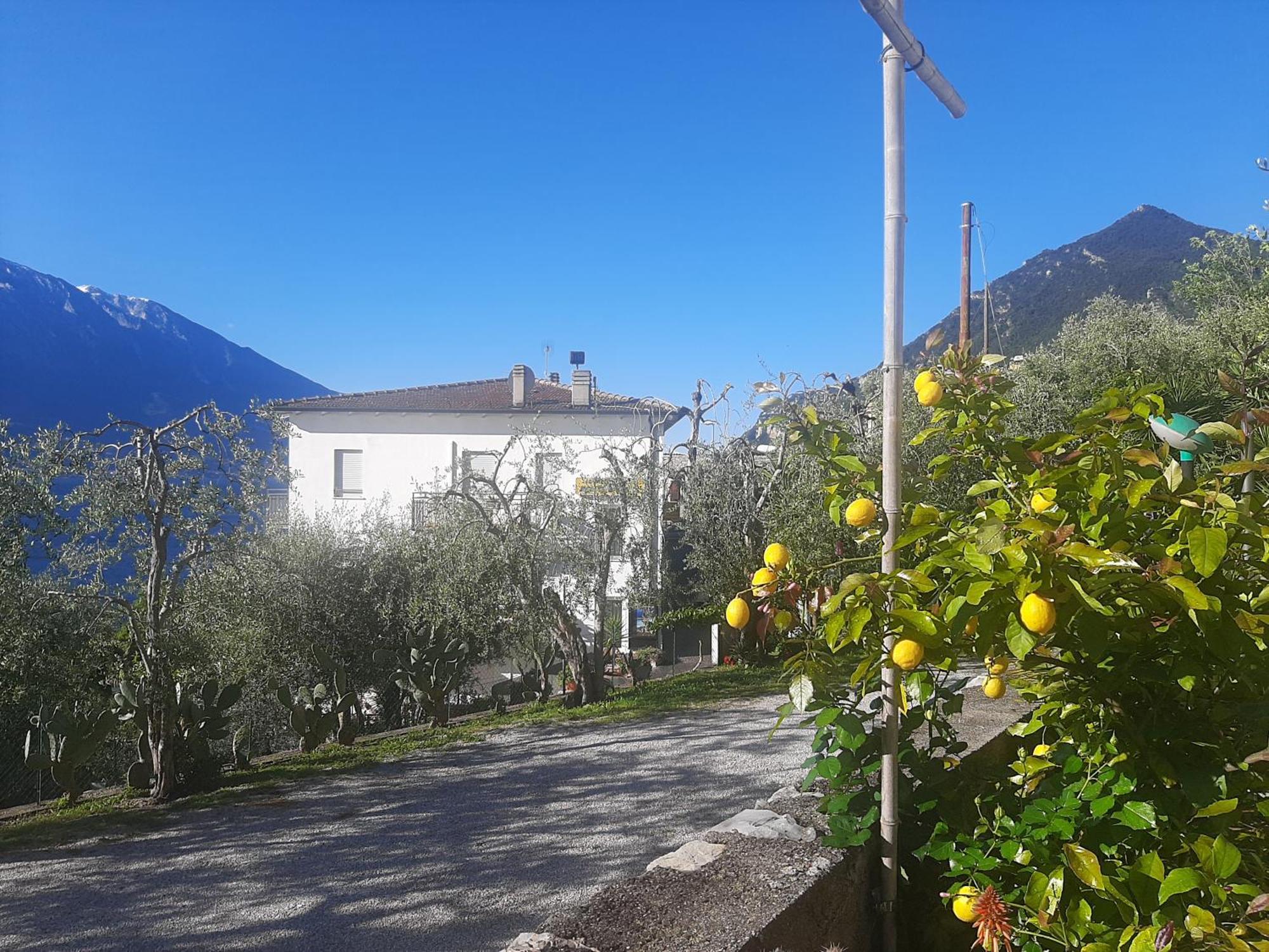 Hotel Augusta Garni Limone sul Garda Exteriér fotografie